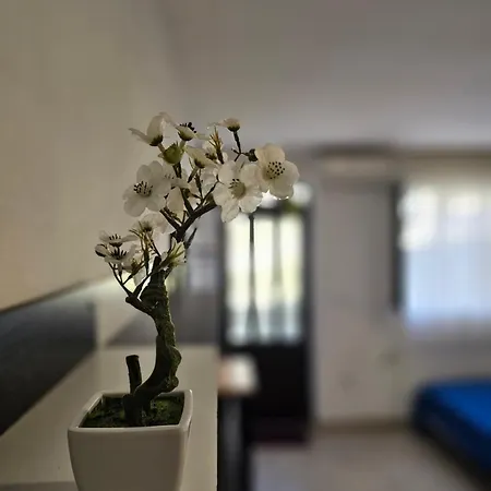 Studio Apartment Blue Dream Kotor Exterior photo