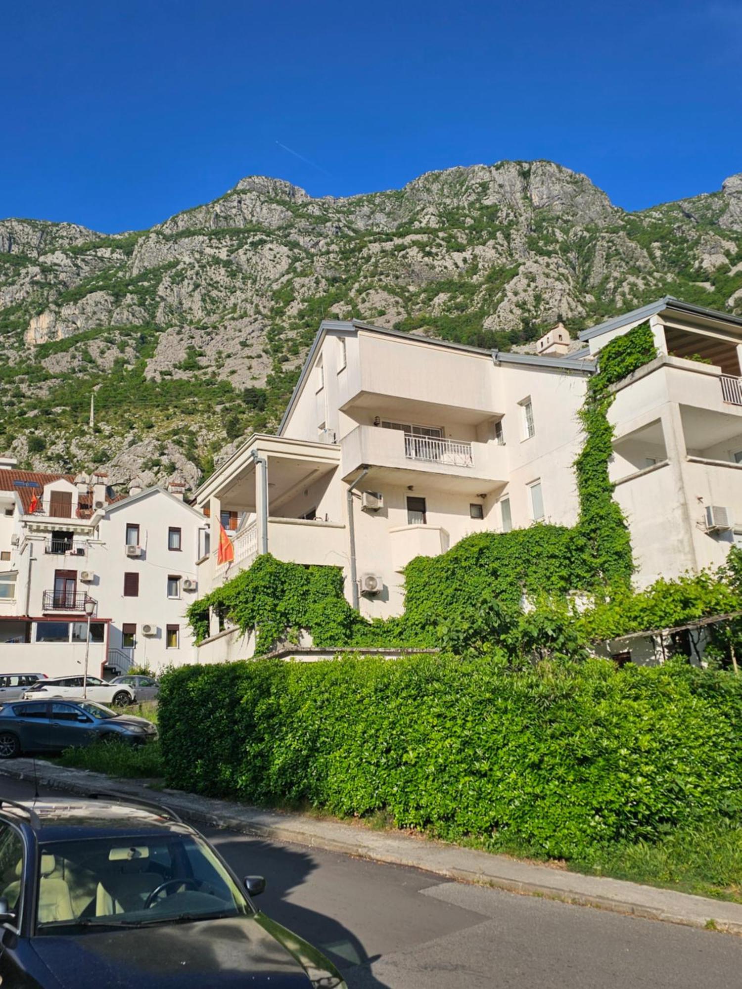 Apartment Blue Dream Kotor