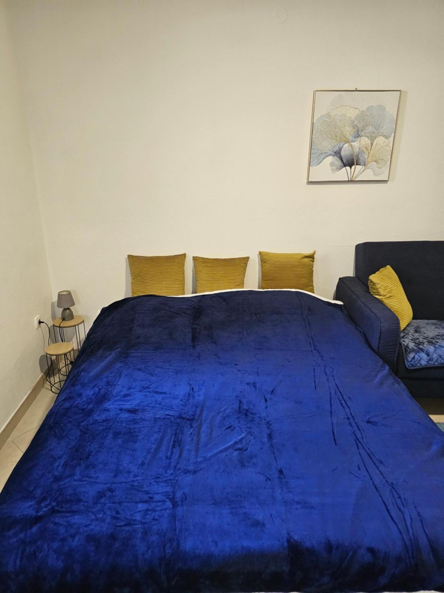 Apartment Blue Dream Kotor